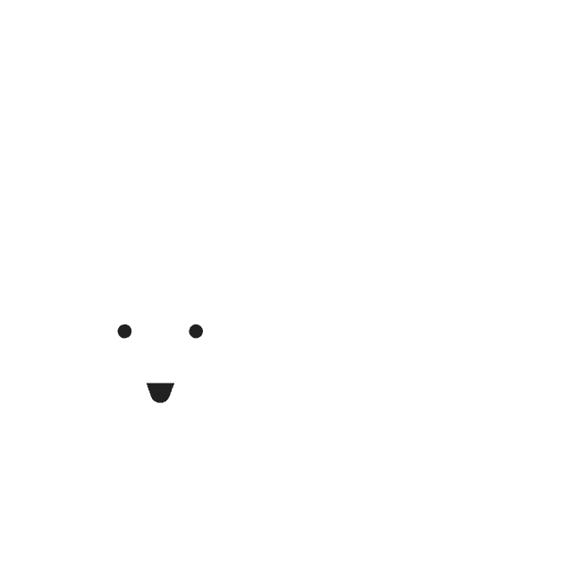 Face Wash Fox